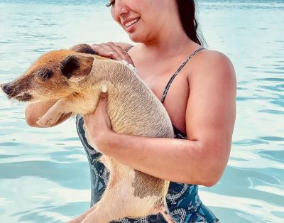 Exuma Swimming Pigs Private Tour